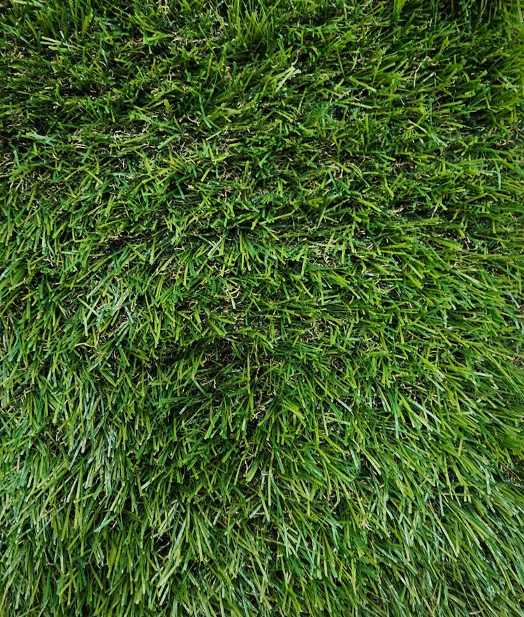 Comparatif de nos gazons