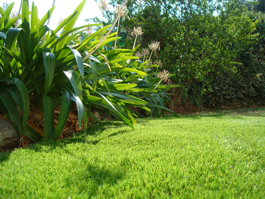 Gazon synthétique - 20mm